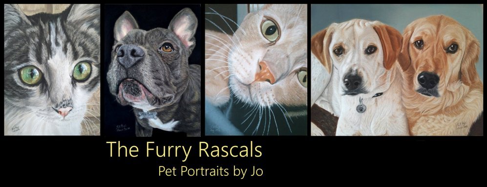 The Furry Rascals - Pet Portraits by Jo in Cyprus 